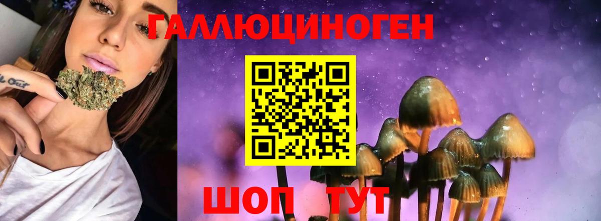 купить закладку  Галлюциногенные грибы мицелий  Вход с VPN  Сибай 
